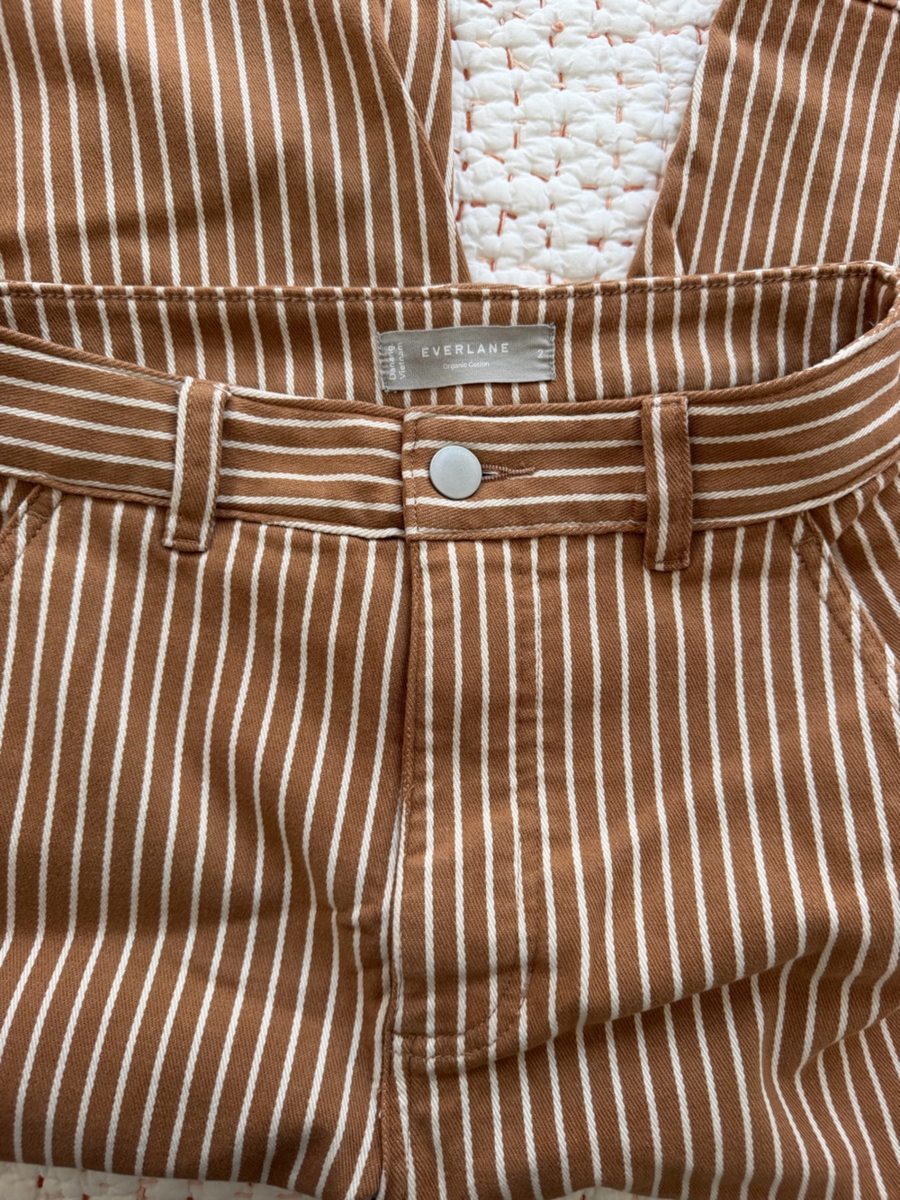 Everlane Barrel Pant - Beige Stripe - Picture 5 of 7